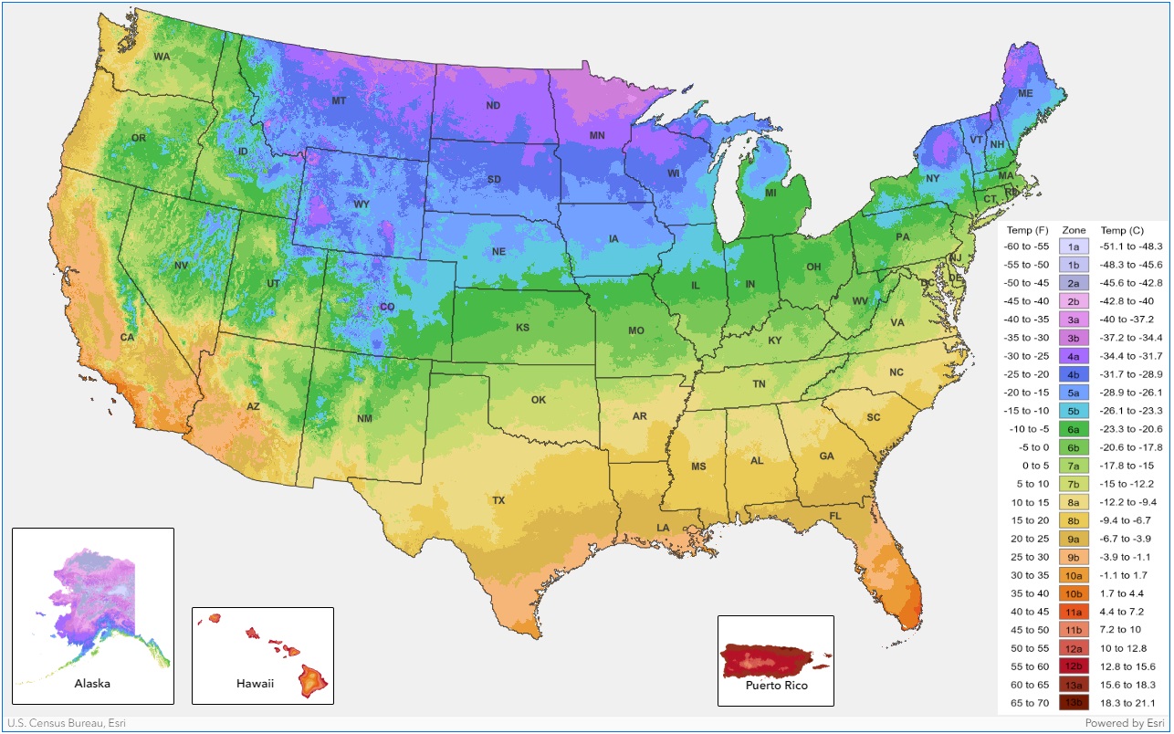 plant hardiness zone map usa https://planthardiness.ars.usda.gov/